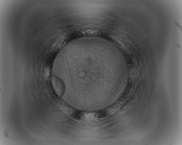 X0000096670709200802191329