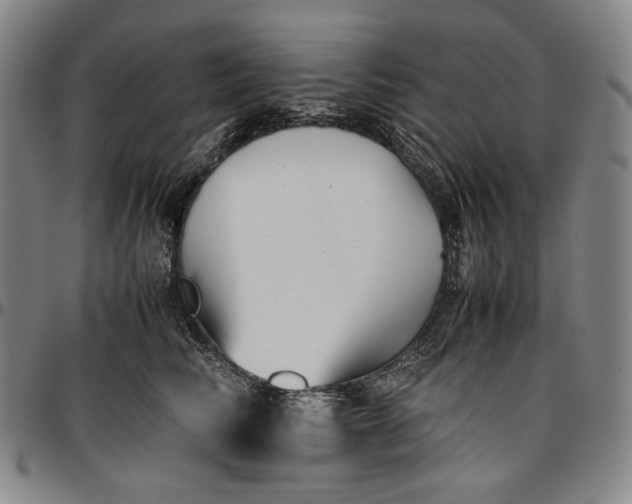 X0000096670710200802191329