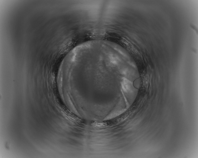 X0000096670711200802191329