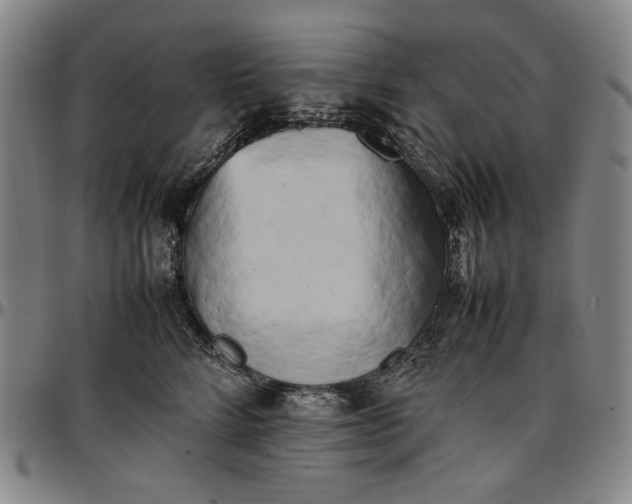 X0000096670712200802191329