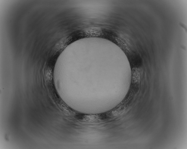 X0000096670713200802191329