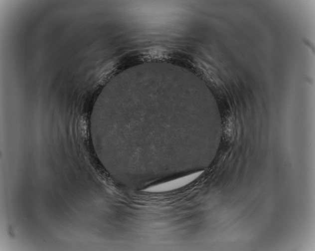 X0000096670715200802191329
