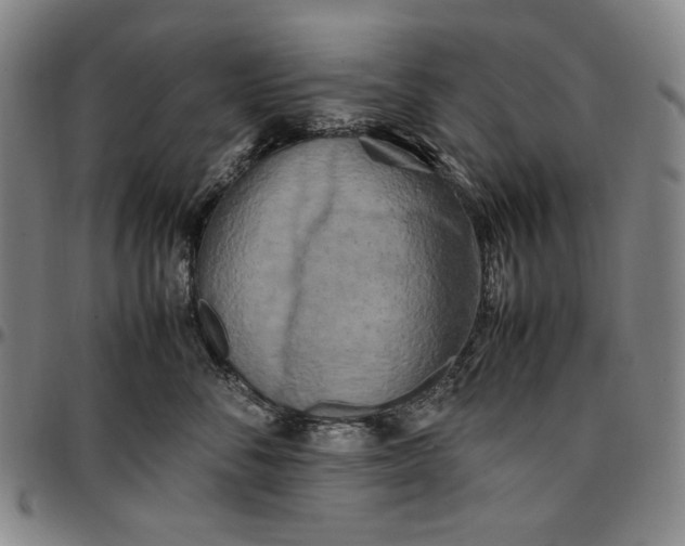 X0000096670716200802191329