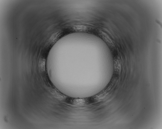 X0000096670717200802191329