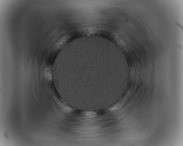X0000096670719200802191329