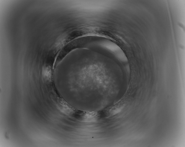 X0000096670720200802191329