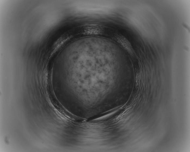 X0000096670722200802191329