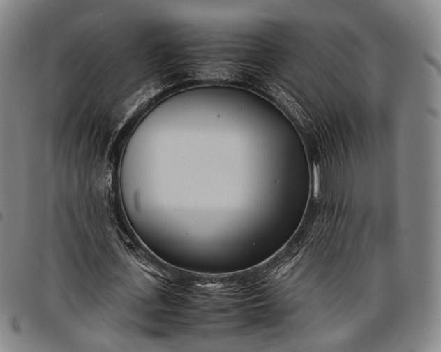 X0000096670723200802191329