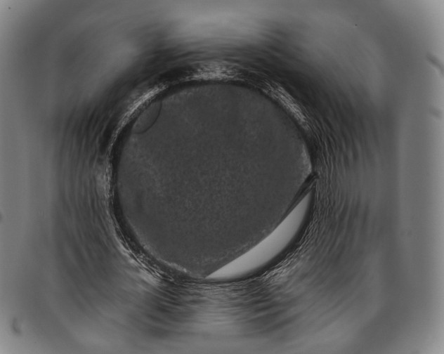 X0000096670724200802191329