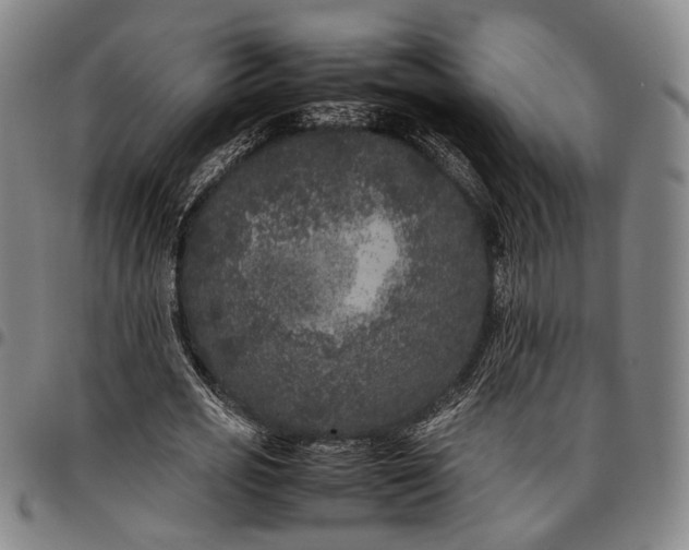 X0000096670725200802191329