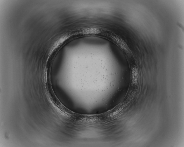 X0000096670726200802191329