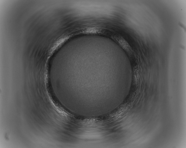 X0000096670728200802191329