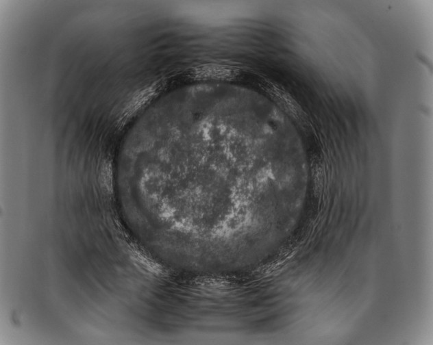 X0000096670729200802191329