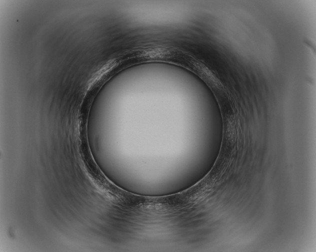 X0000096670730200802191329