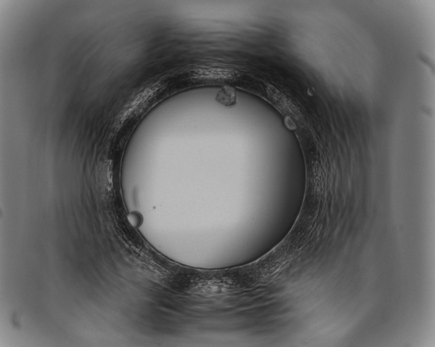X0000096670731200802191329