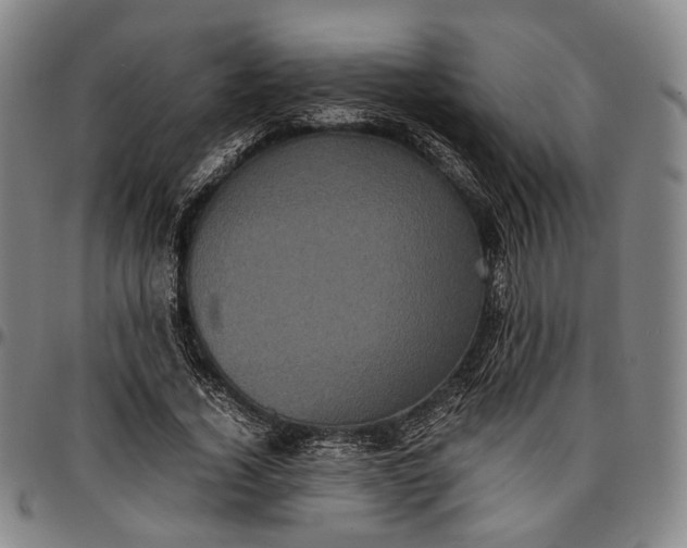 X0000096670732200802191329