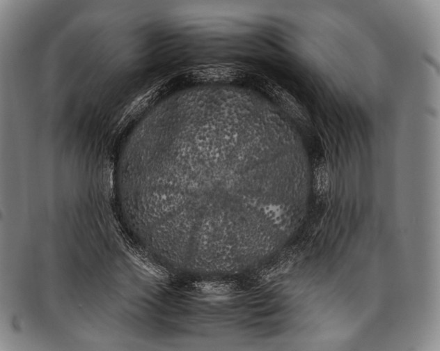 X0000096670733200802191329