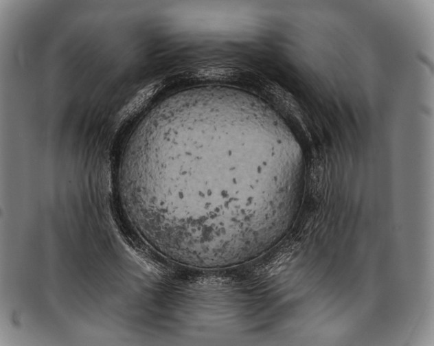X0000096670734200802191329