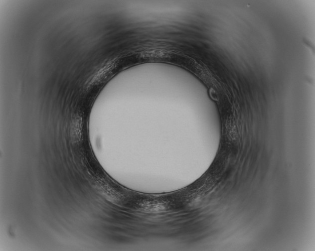 X0000096670735200802191329
