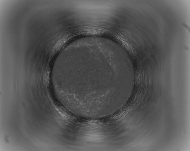 X0000096670736200802191329