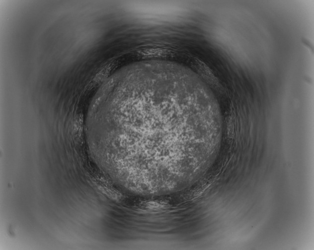 X0000096670737200802191329