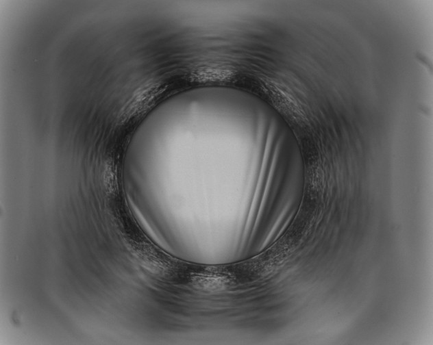 X0000096670743200802191329