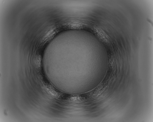 X0000096670744200802191329
