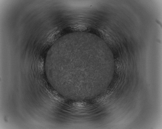 X0000096670745200802191329