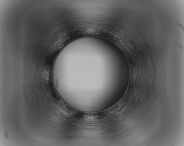 X0000096670746200802191329