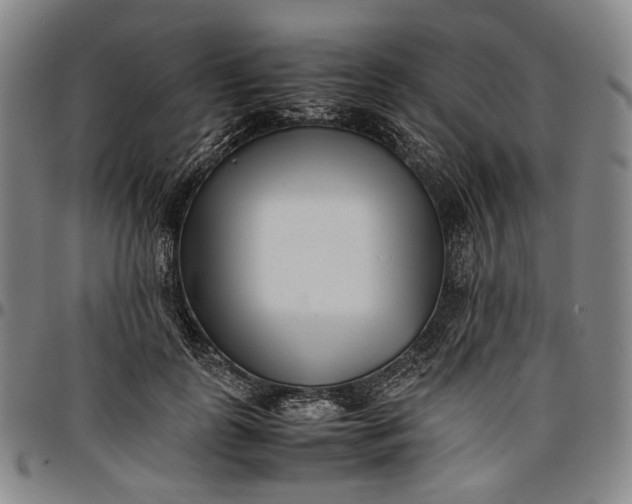 X0000096670747200802191329