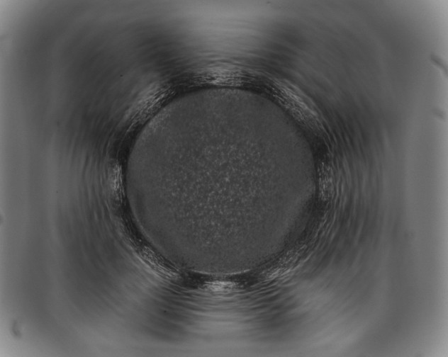 X0000096670748200802191329