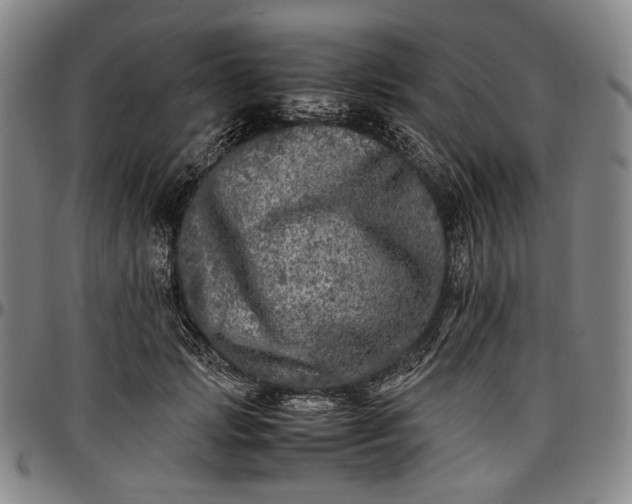 X0000096670749200802191329