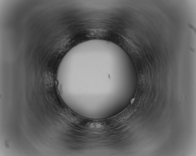 X0000096670751200802191329