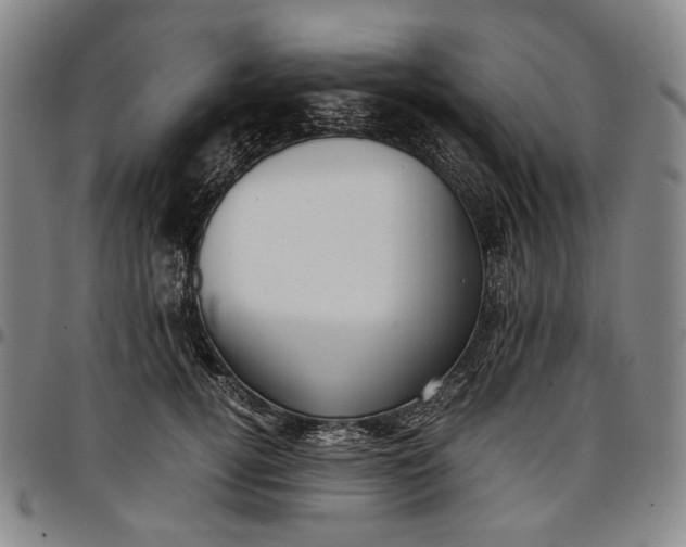 X0000096670752200802191329