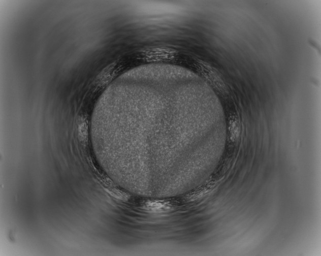 X0000096670753200802191329