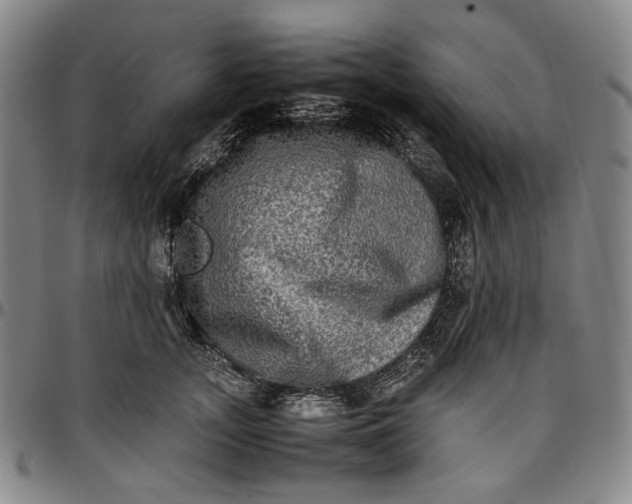 X0000096670755200802191329