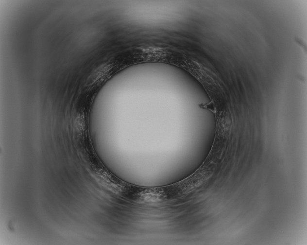 X0000096670756200802191329