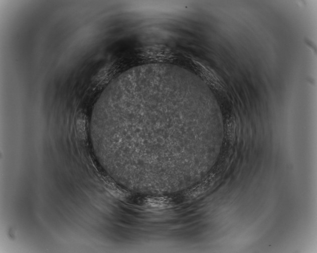 X0000096670757200802191329