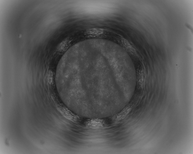 X0000096670758200802191329