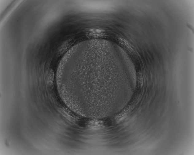 X0000096670760200802191329