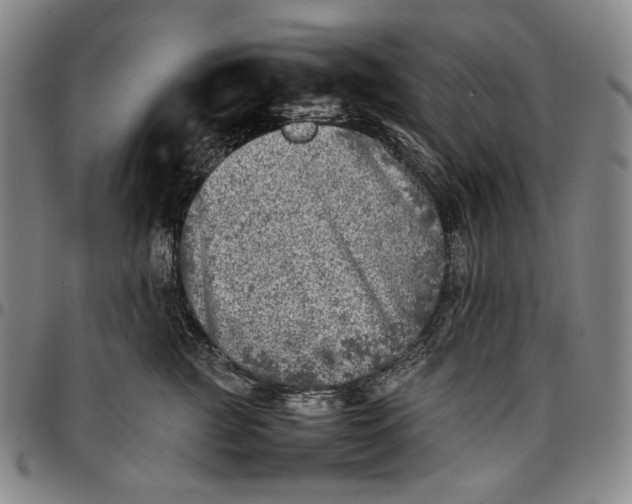 X0000096670761200802191329