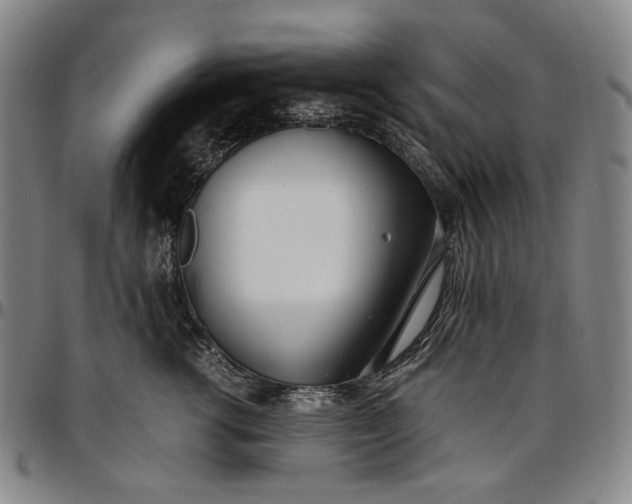 X0000096670762200802191329