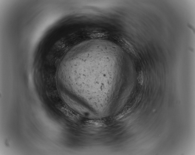 X0000096670763200802191329