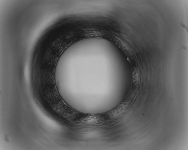 X0000096670764200802191329