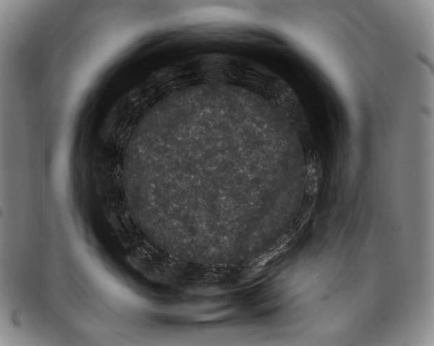 X0000096670765200802191329