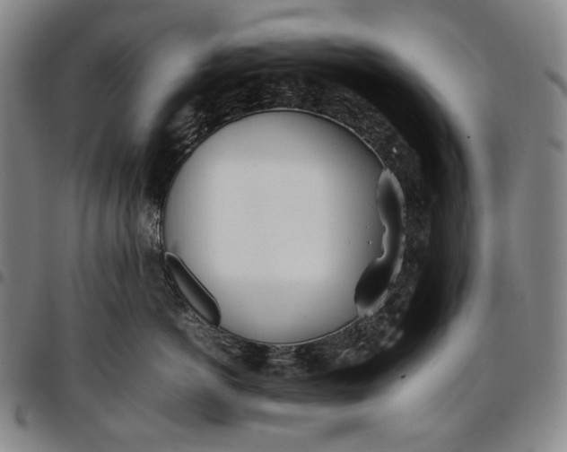 X0000096670766200802191329