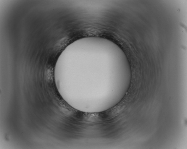 X0000096670768200802191329