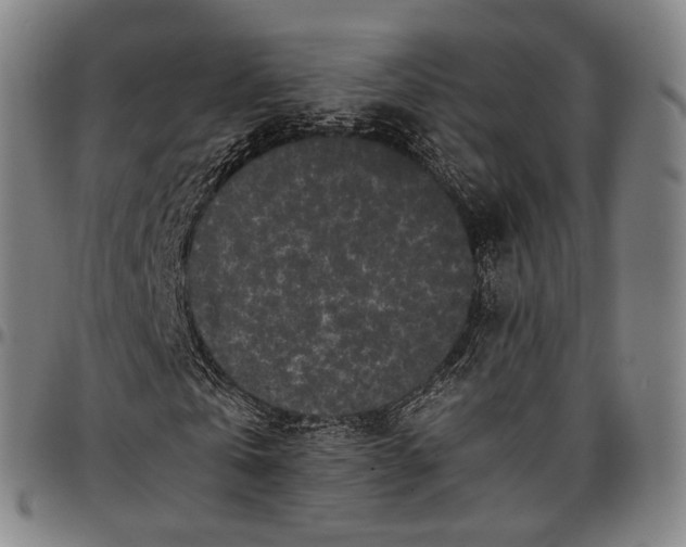 X0000096670769200802191329