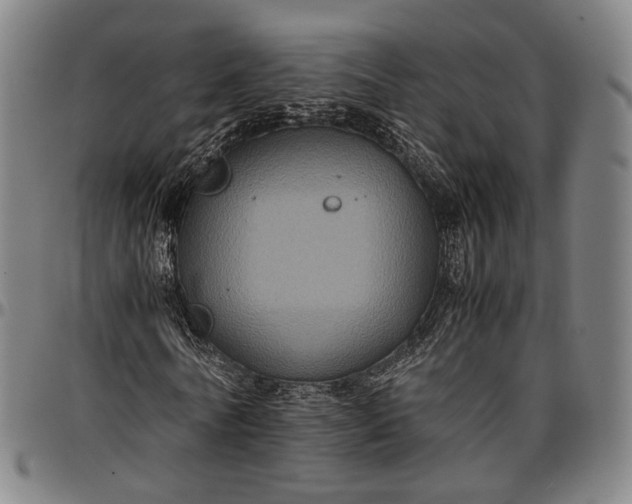 X0000096670770200802191329