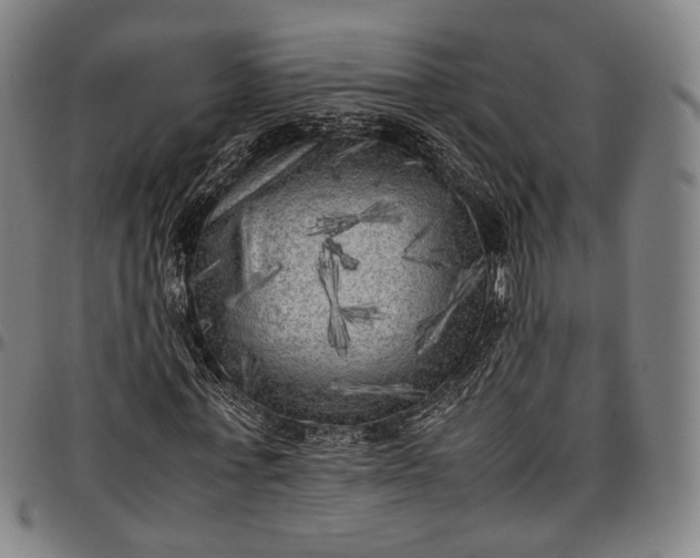 X0000096670771200802191329